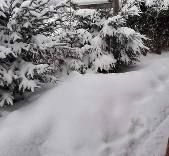 Ruska Bania Na Pograniczu Ferienpark